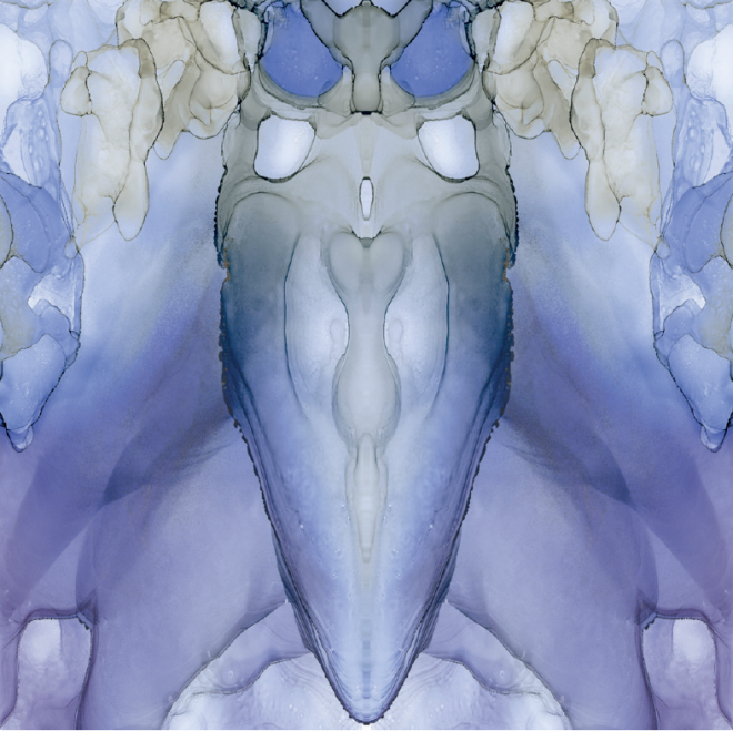 Bookmatched Mediterraneo St. Barth