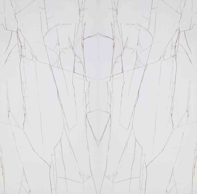 Bookmatched Sahara Blanc